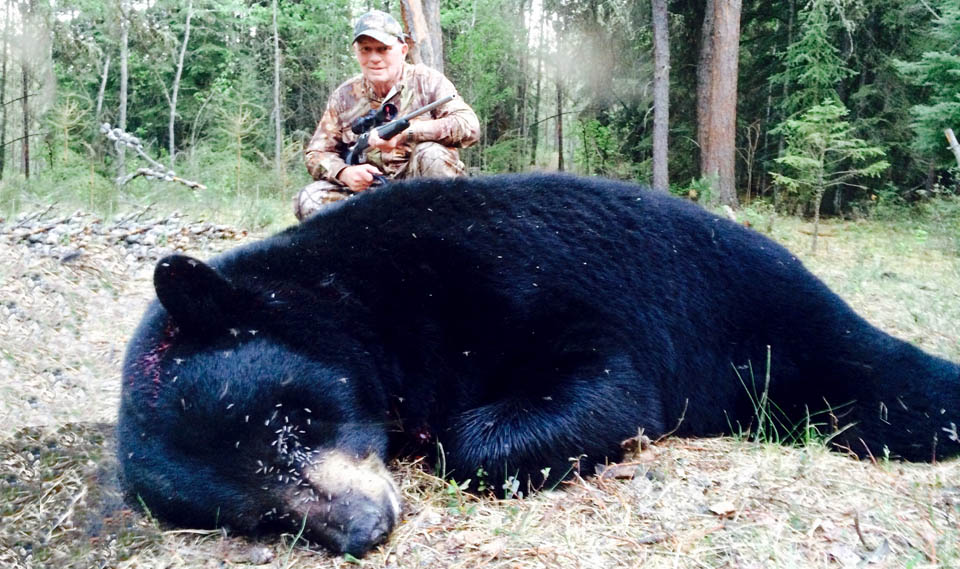 black bear hunting outfitters alberta
