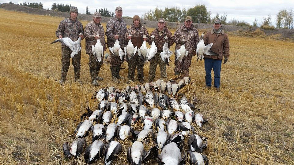Goose Hunting Duck Hunting Alberta Canada
