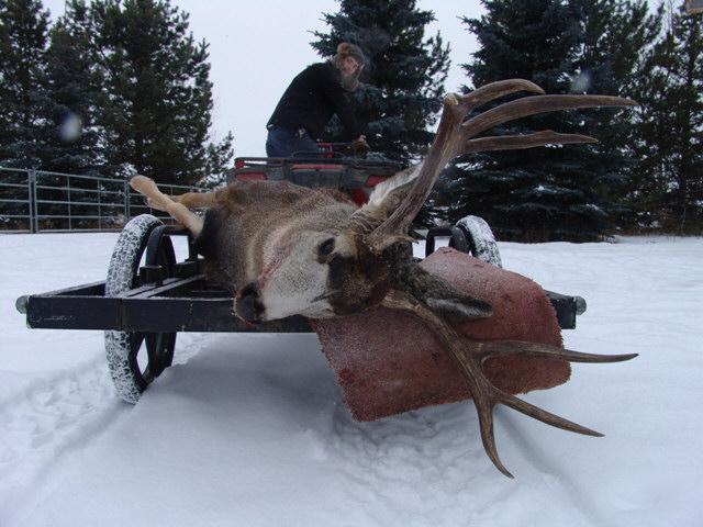 North Star Outfitting Mule Deer Hunts